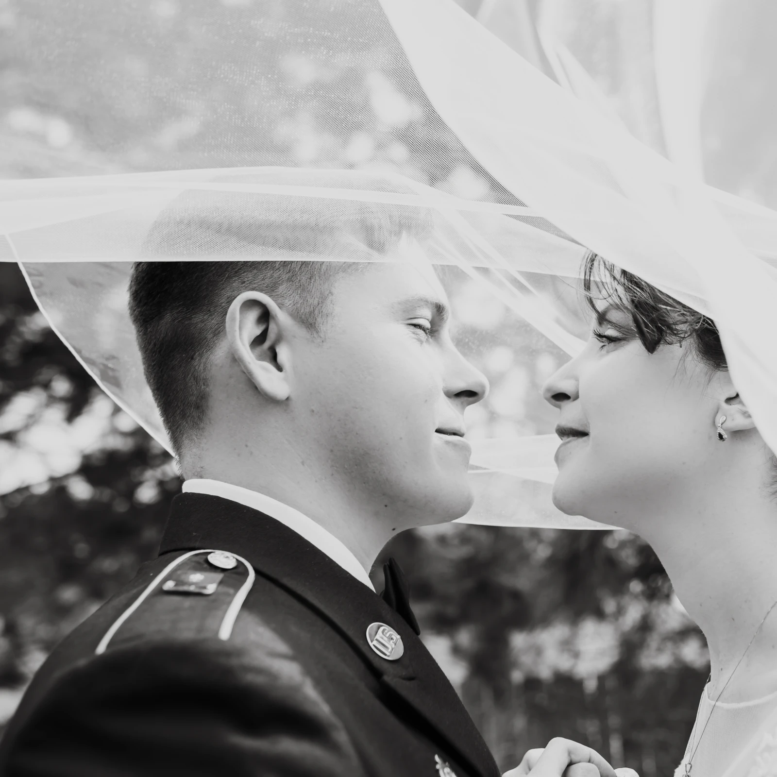 untitled image